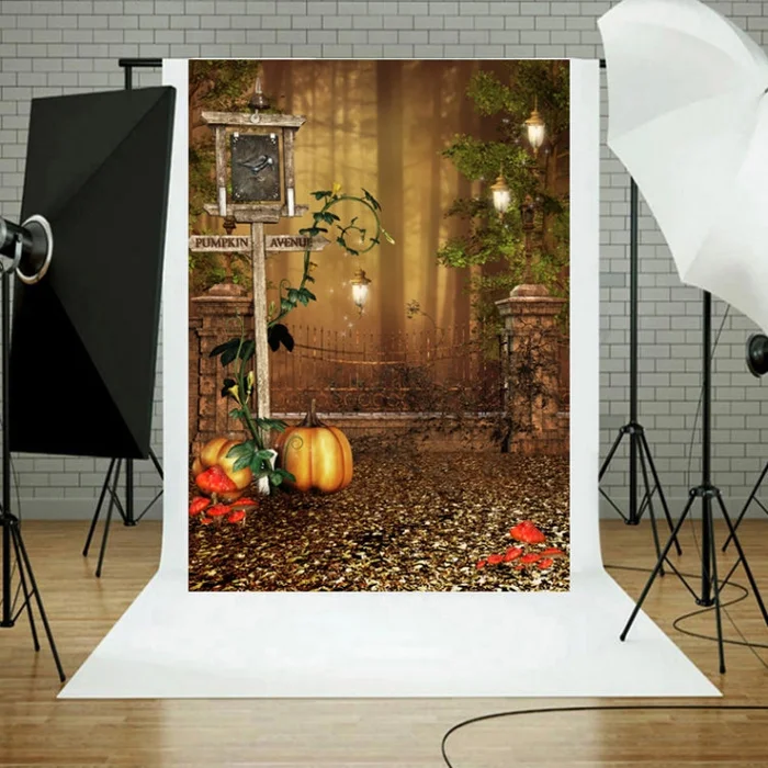 1.25×0.8m Holiday Party Photography Background Halloween Decoration Hanging Cloth, Style: C-1254