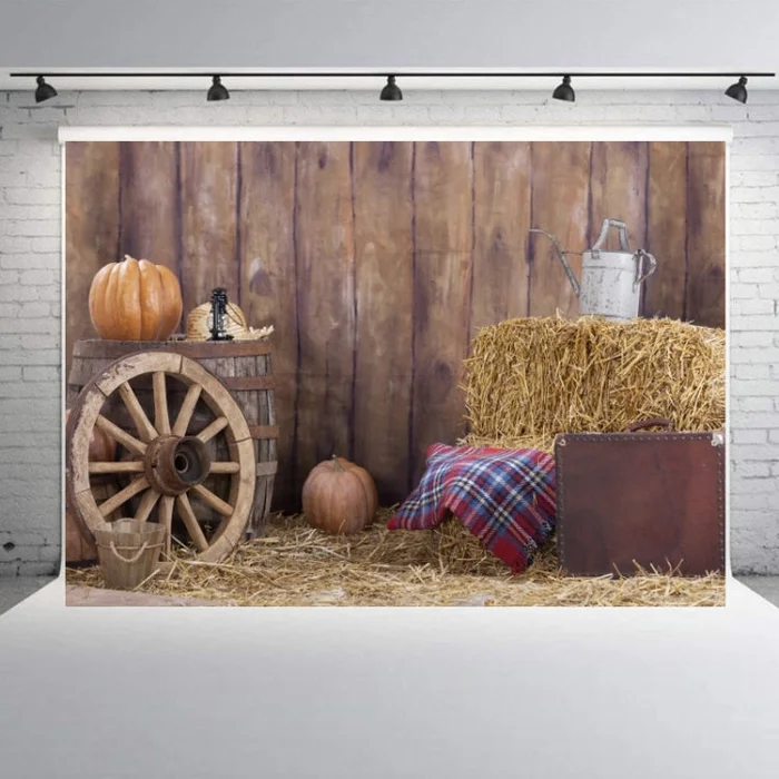 1.25×0.8m Holiday Party Photography Background Halloween Decoration Hanging Cloth, Style: C-1261