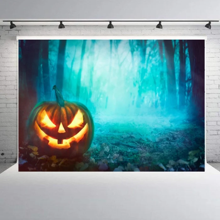 1.25×0.8m Holiday Party Photography Background Halloween Decoration Hanging Cloth, Style: C-1264