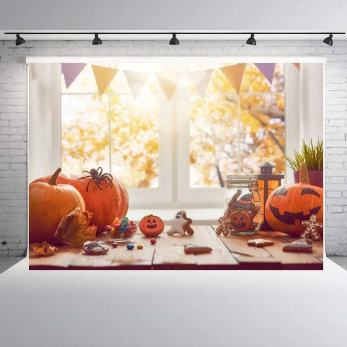 1.25×0.8m Holiday Party Photography Background Halloween Decoration Hanging Cloth, Style: C-1265