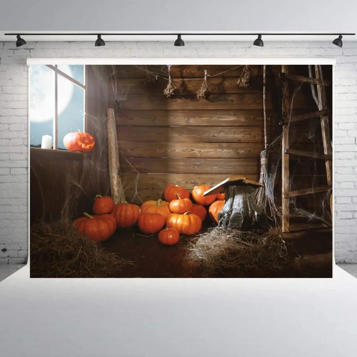 1.25×0.8m Holiday Party Photography Background Halloween Decoration Hanging Cloth, Style: WS-144