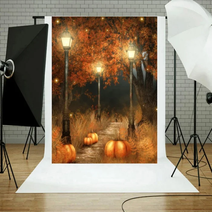 1.25×0.8m Holiday Party Photography Background Halloween Decoration Hanging Cloth, Style: WS-166