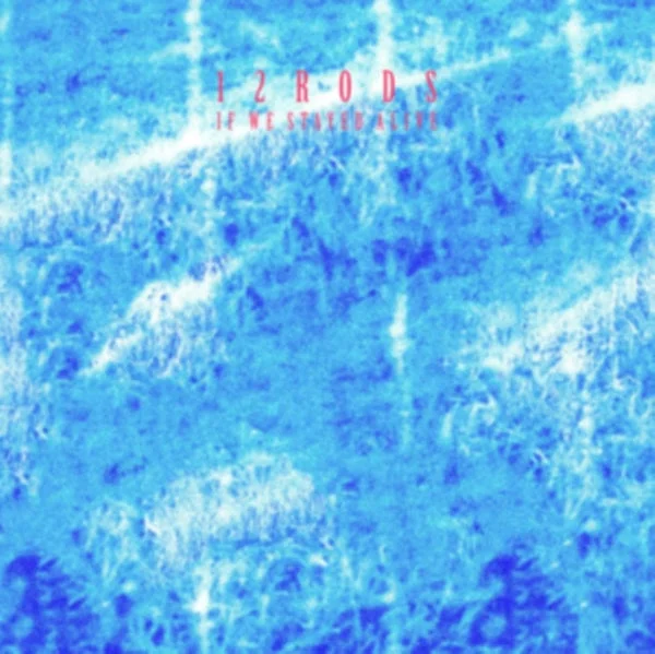 12 Rods LP – If We Stayed Alive