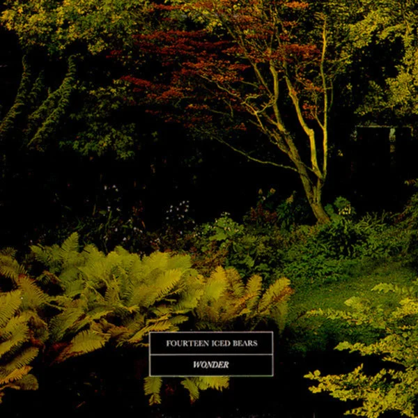 14 Iced Bears LP – Wonder