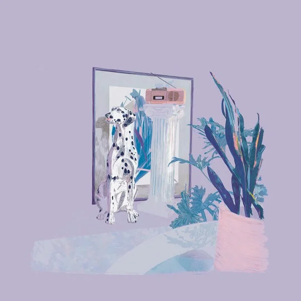 Abracadabra LP – Shapes & Colors