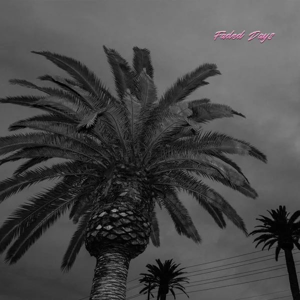 Actual Wolf LP – Faded Days