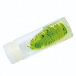 Algae – Scenedesmus quadracauda 30ml UN [80050]