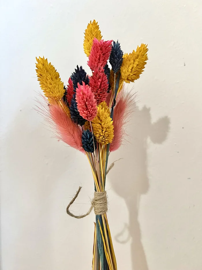 Bunch of Rainbow Dried Flowers Posy 35cm