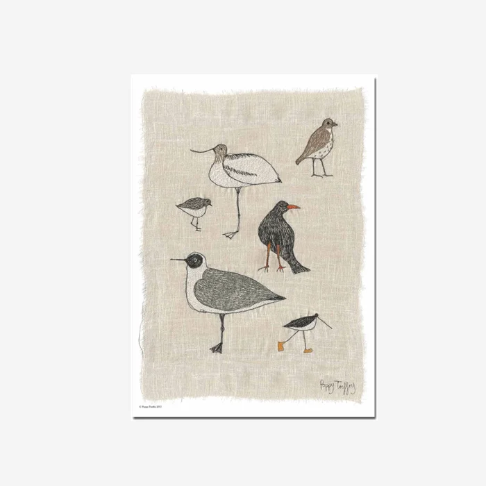 Cornish Birds | A3 Print