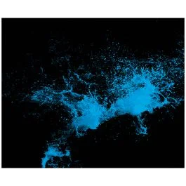 Edvotek Forensic Enhancement Techniques [80190]