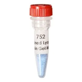 Edvotek Prestained Lyophilized Protein Gel Markers: Molecul [80350]