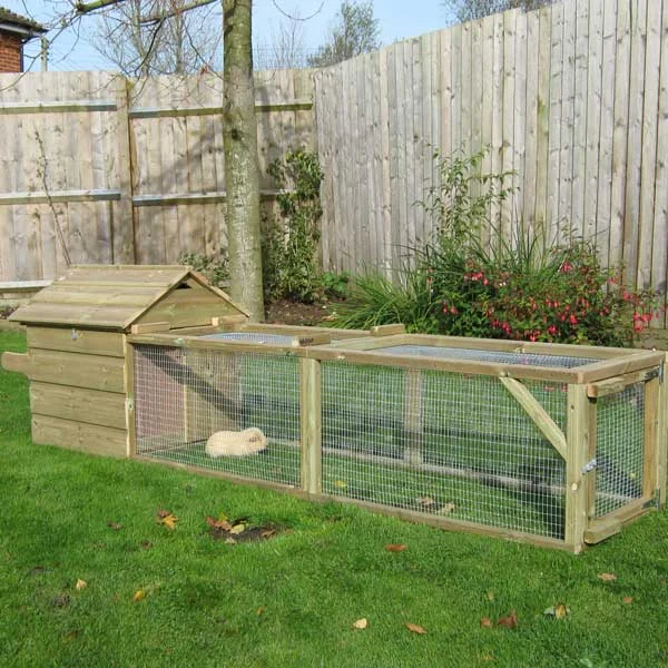 Guinea Pig House & Run