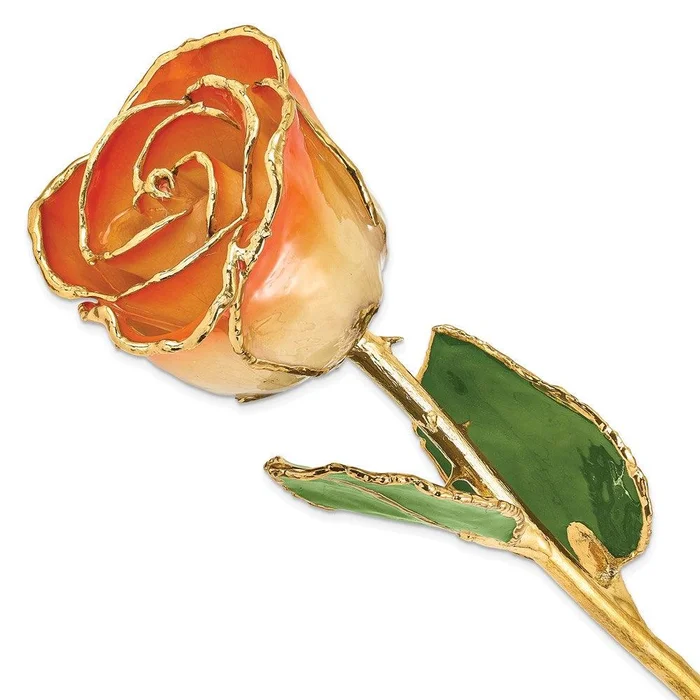 Lacquer Dipped Gold Trim White & Orange Rose