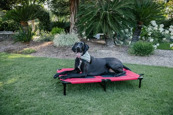 Lucky Dog Rectangular Red Polyester Orthopedic Dog Bed (Extra Large)