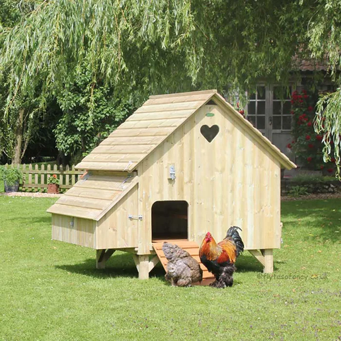 Maggie’s 24 Hen House