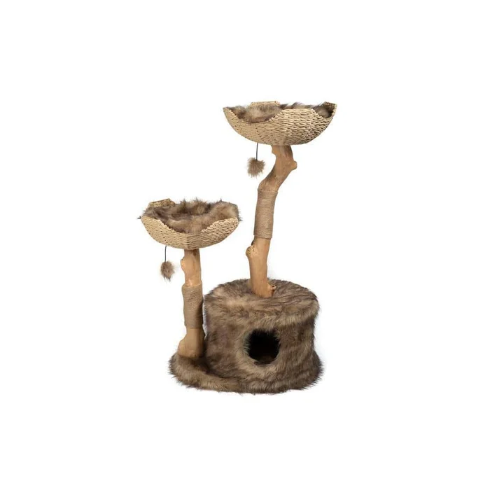 MAU LIFESTYLE PANI-106-BRN Cento