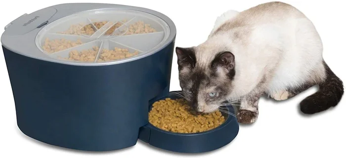 PetSafe 6-Meal Automatic Dog & Cat Feeder, Blue
