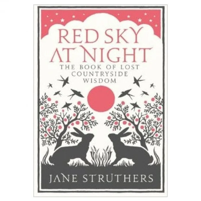 Red Sky at Night book by Jane Struthers