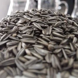 Seeds: Sunflower Seeds – 500g [80532]