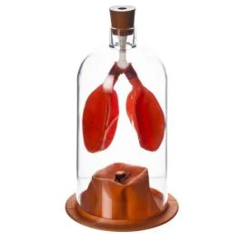 Spare Diaphragm Only for Lung Demo Model [80744]