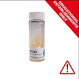 Staphyloccus Albus Culture UN [5478]