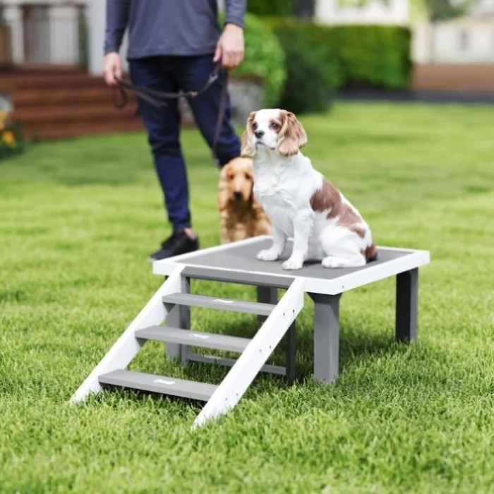 Wooden Dog Training Place Board 40292551