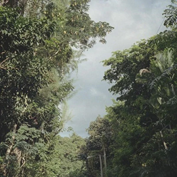 Zac Nelson LP – New Once