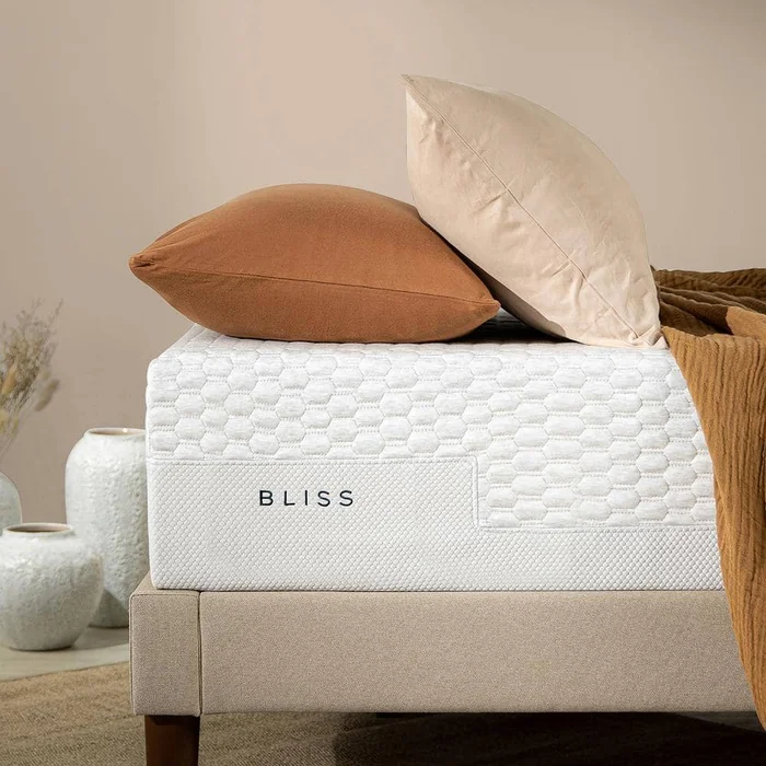 Zinus Bliss 12 Inch Medium Smooth Top Queen Memory Foam Mattress, Made in USA